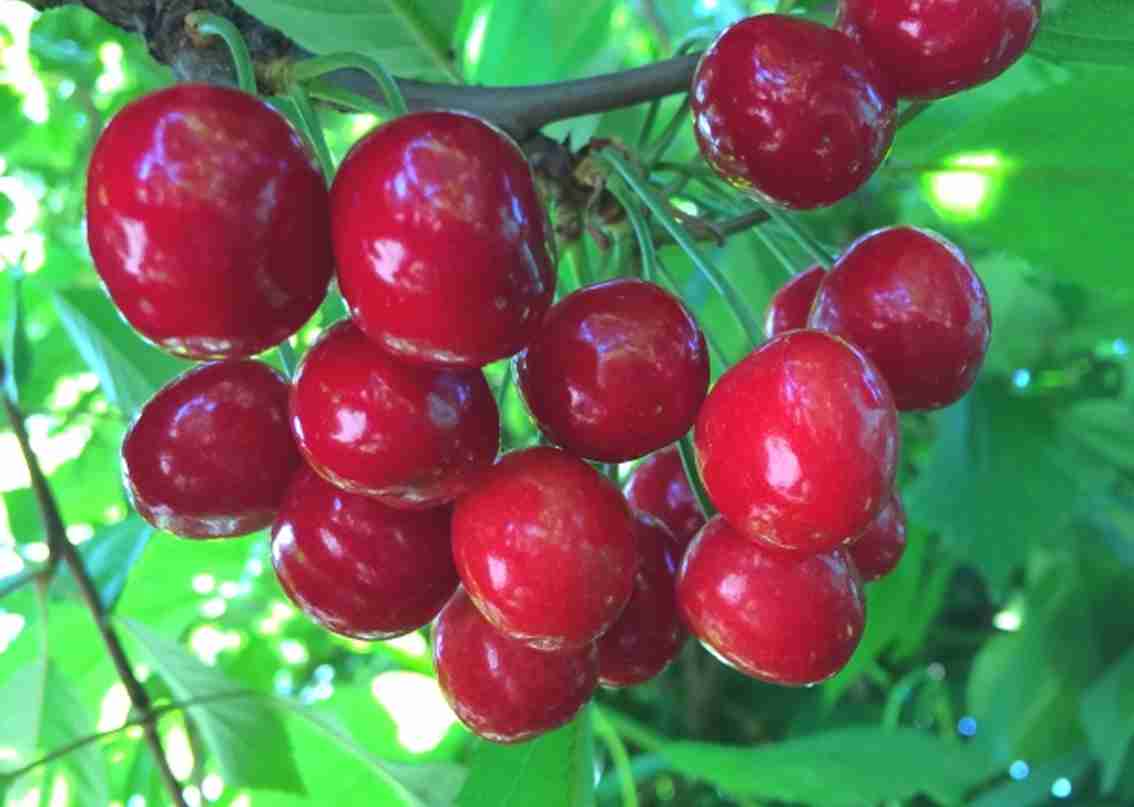 s2.jpg